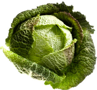 Col (Brassica oleracea)