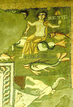 Archivo:Tethys garni.jpg