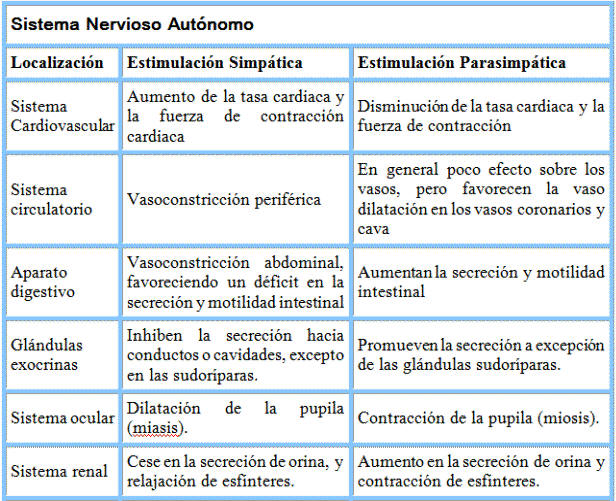 Efectos de la estimulación simpática y parasimpática
