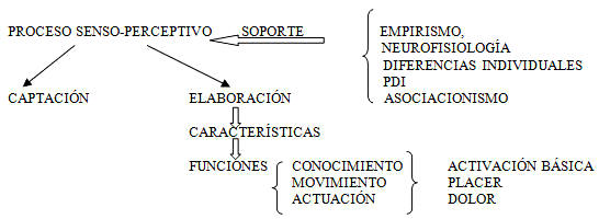 Características de la percepción