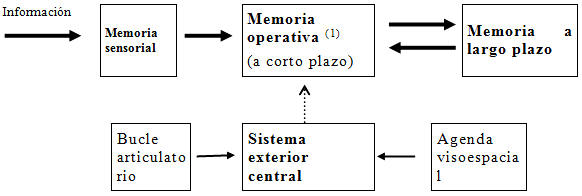 Estructuración de la memoria