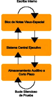 La organización de la memoria