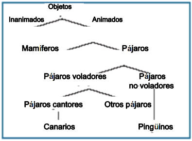 Las cosas que sabemos sobre los animales están organizados en forma de árbol. No obstante no sabemos como el cerebro es capaz de organizar todo esto.