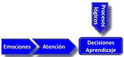 Educación y proceso de evolución cerebral 