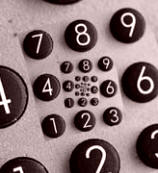 Educación y proceso de evolución cerebral 