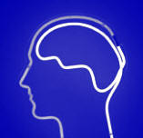 Educación y proceso de evolución cerebral 