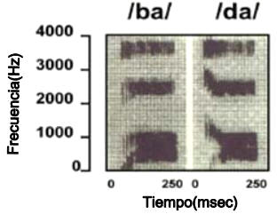 NEUROCIENCIAS: LA CIENCIA DEL CEREBRO
