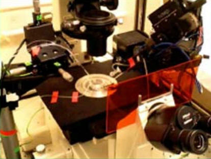 Aparato que se utiliza para detectar los pequeños voltajes eléctricos que ocurren durante una sinapsis