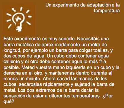 Neurociencias: un experimento de adaptación a la temperatura