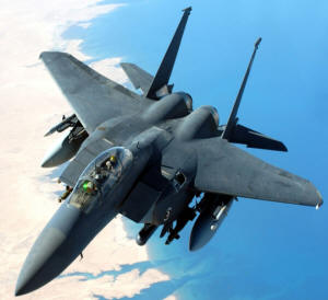 En este caza se puede observar un empenaje de cola con dos timones de dirección