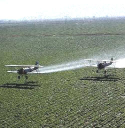 Actividades de la aviación general en la fumigación de una plantación