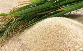 Cristales de azúcar de caña. Foto: www.floridacrystals.com