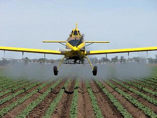 El uso de pesticidas peligrosos para la cadena trófica, como el DDT, constituyeron amenazas que fueron contestadas por los movimientos sociales