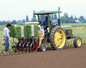 Las máquinas aplicadas a la agricultura han permitido ahorrar muchas horas de trabajo