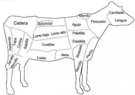 Identificación de los cortes en el ganado vacuno
