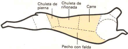 Identificación de los cortes en un cordero