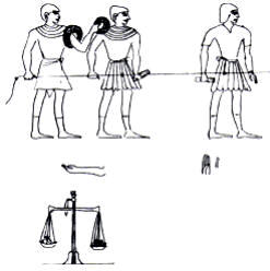 Fig. 4: El sistema de medidas egipcio empleaba cuerdas divididas en nudos separados por una distancia de tres codos; el codo que se dividía en siete palmas y la palma en cuatro dedos. Usaba también balanzas con pesas de diversos tamaños. Tomado de pinturas egipcias