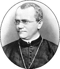 Los primeros estudios sobre la herencia genética fueron realizados en 1865 por el monje agustino austriaco Gregor Johan Mendel